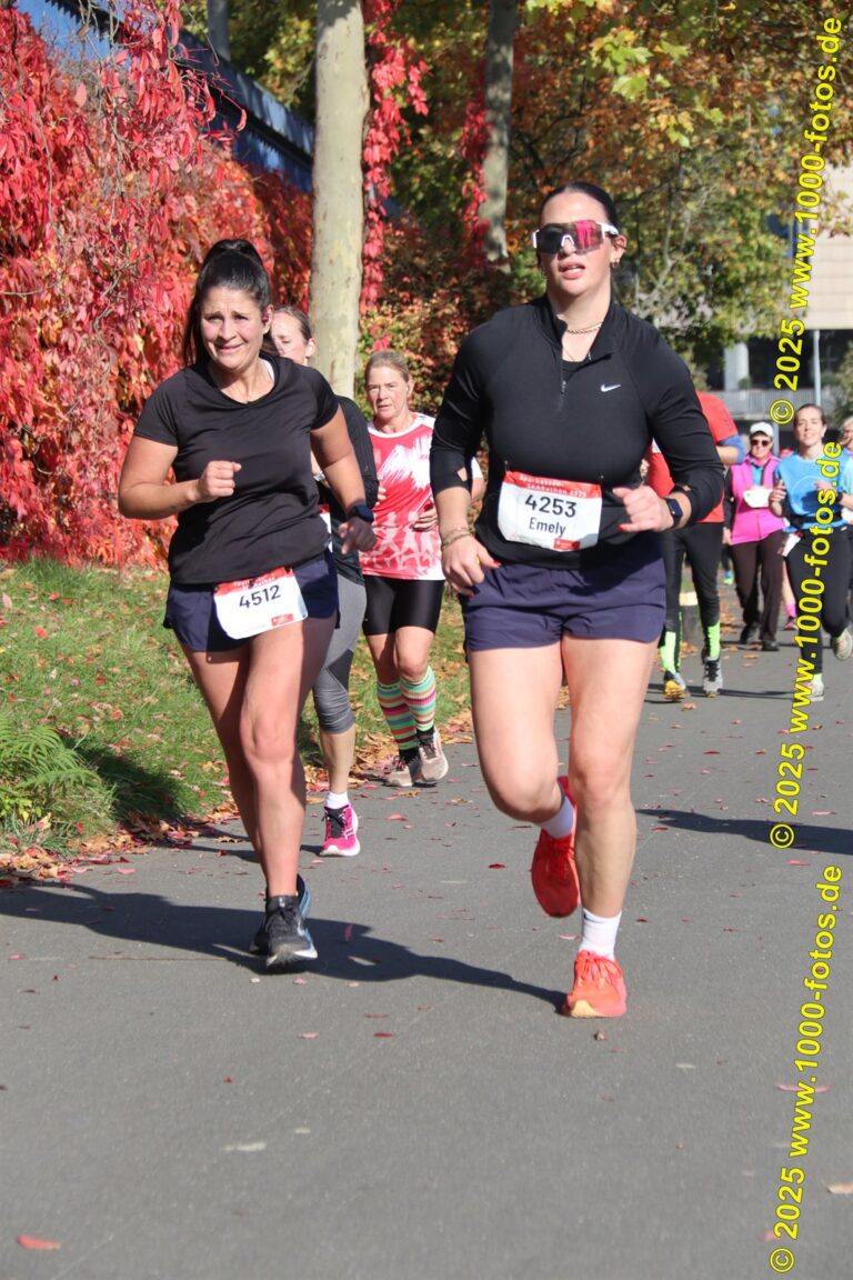 Fotos Hans-Martin Schweitzer (1.000 Fotos) 1749