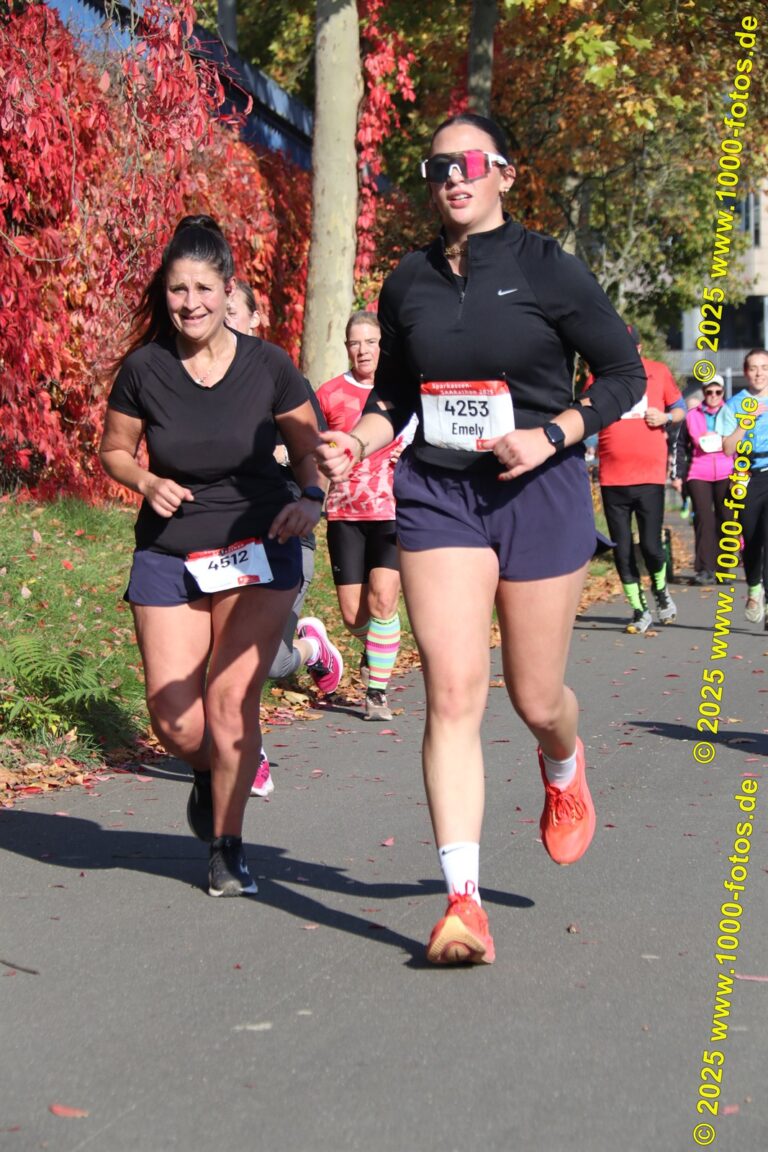 Fotos Hans-Martin Schweitzer (1.000 Fotos) 1748