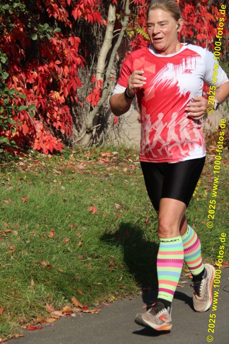 Fotos Hans-Martin Schweitzer (1.000 Fotos) 1747