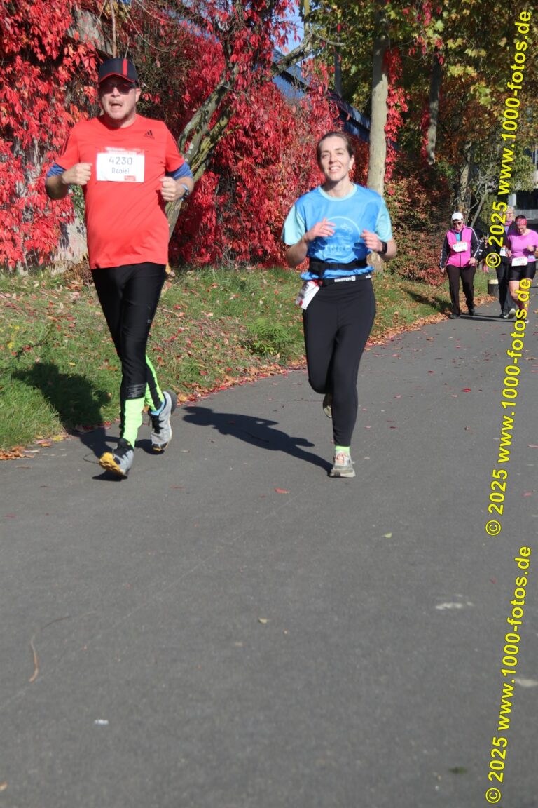 Fotos Hans-Martin Schweitzer (1.000 Fotos) 1746