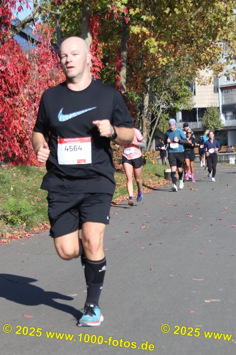 Fotos Hans-Martin Schweitzer (1.000 Fotos) 1744