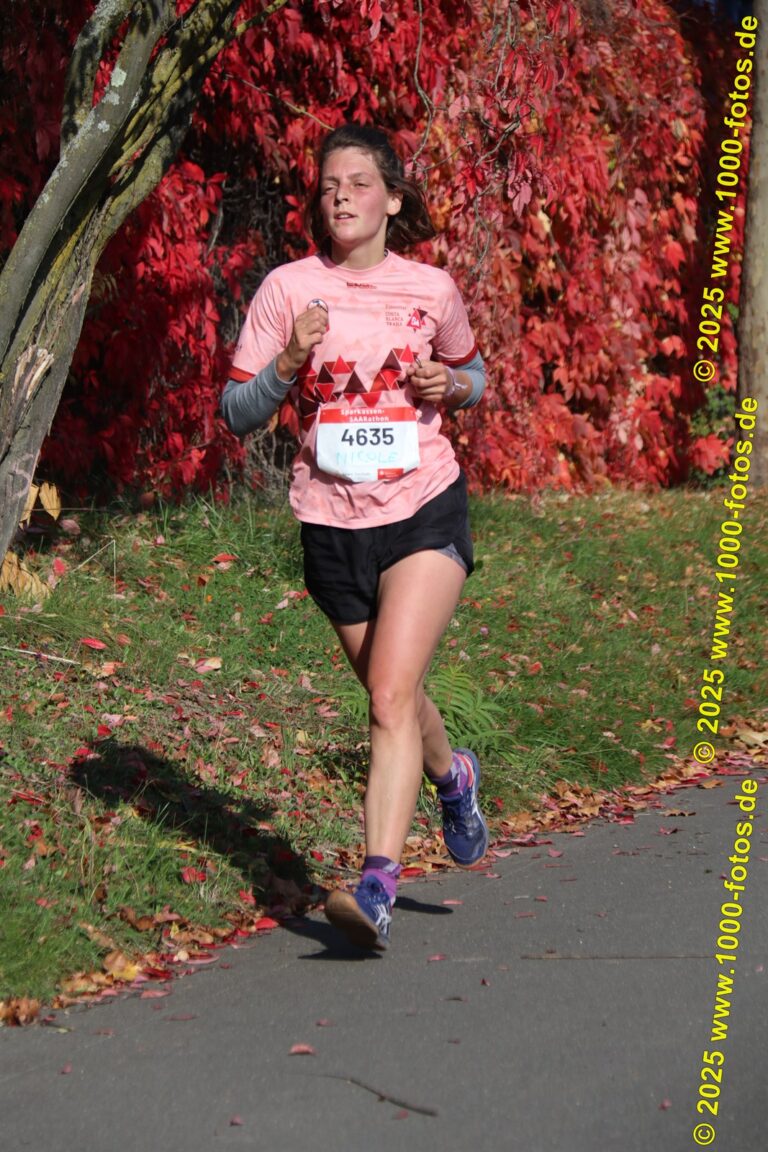 Fotos Hans-Martin Schweitzer (1.000 Fotos) 1743