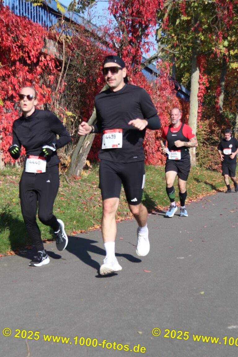 Fotos Hans-Martin Schweitzer (1.000 Fotos) 1740