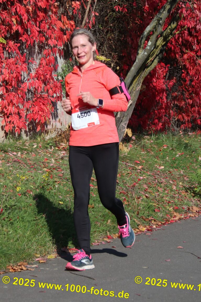 Fotos Hans-Martin Schweitzer (1.000 Fotos) 1733