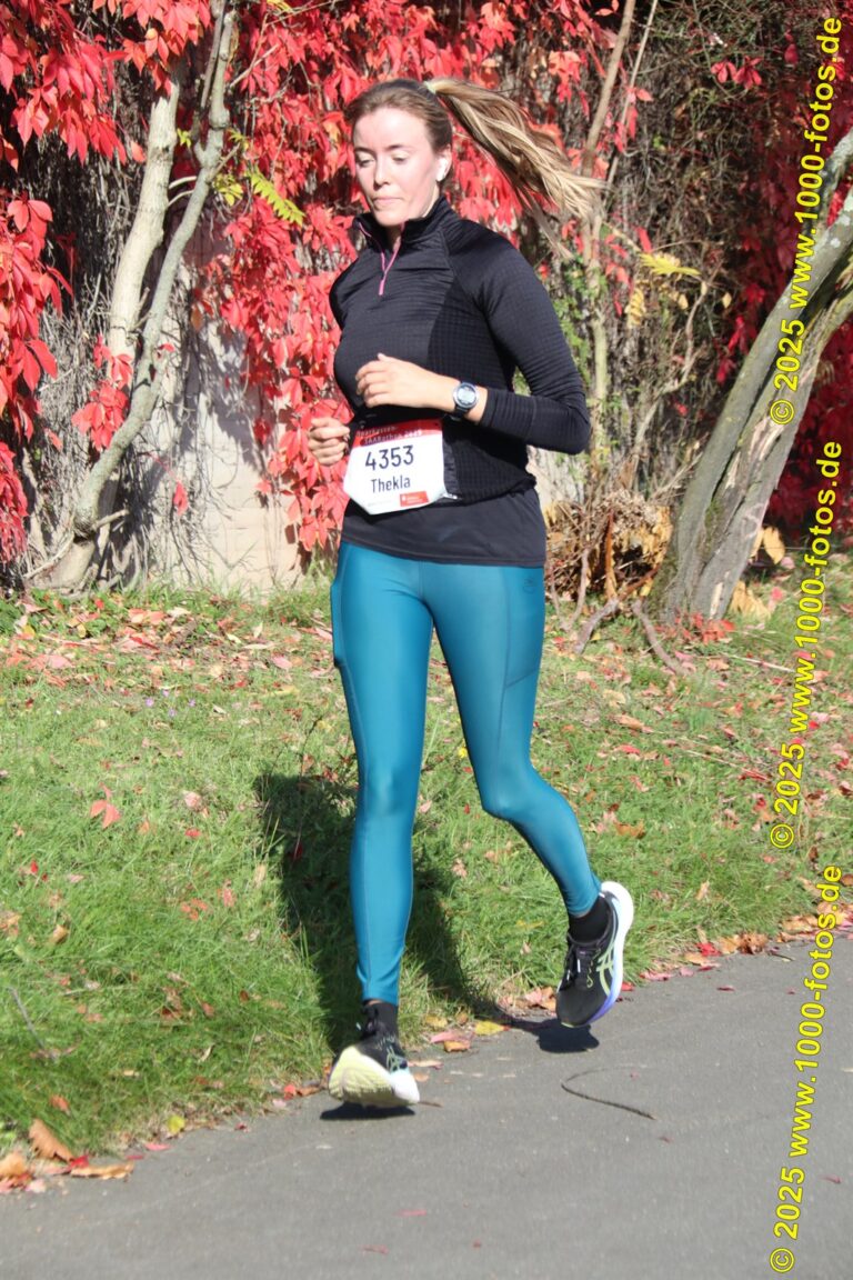 Fotos Hans-Martin Schweitzer (1.000 Fotos) 1731