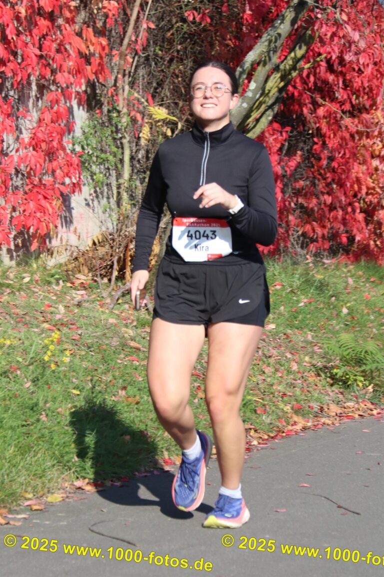 Fotos Hans-Martin Schweitzer (1.000 Fotos) 1728