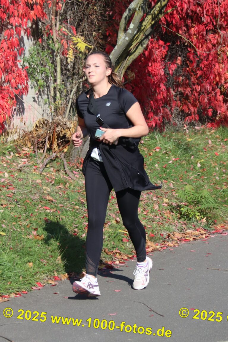 Fotos Hans-Martin Schweitzer (1.000 Fotos) 1722