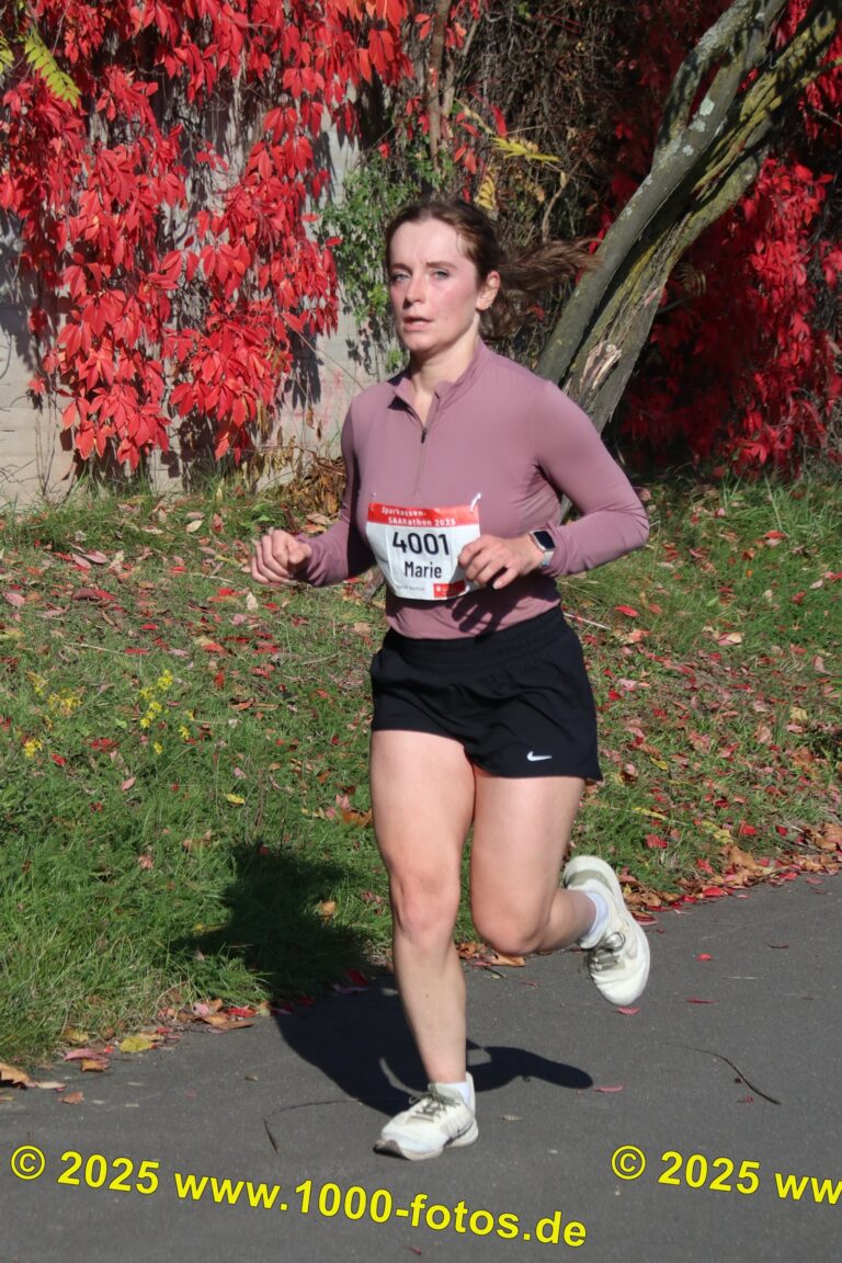 Fotos Hans-Martin Schweitzer (1.000 Fotos) 1721