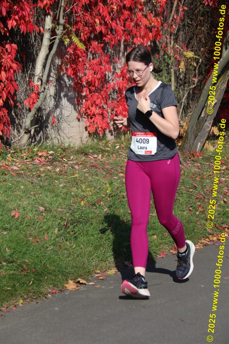 Fotos Hans-Martin Schweitzer (1.000 Fotos) 1720