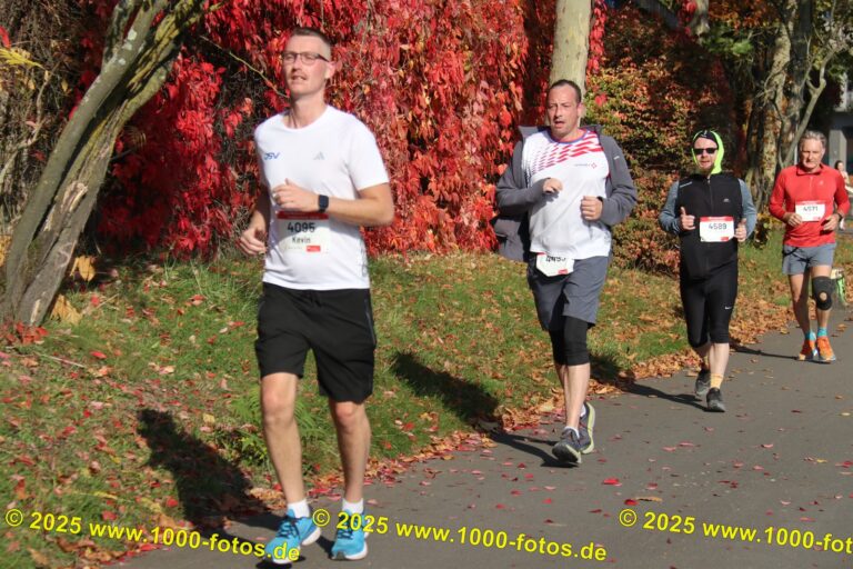 Fotos Hans-Martin Schweitzer (1.000 Fotos) 1718