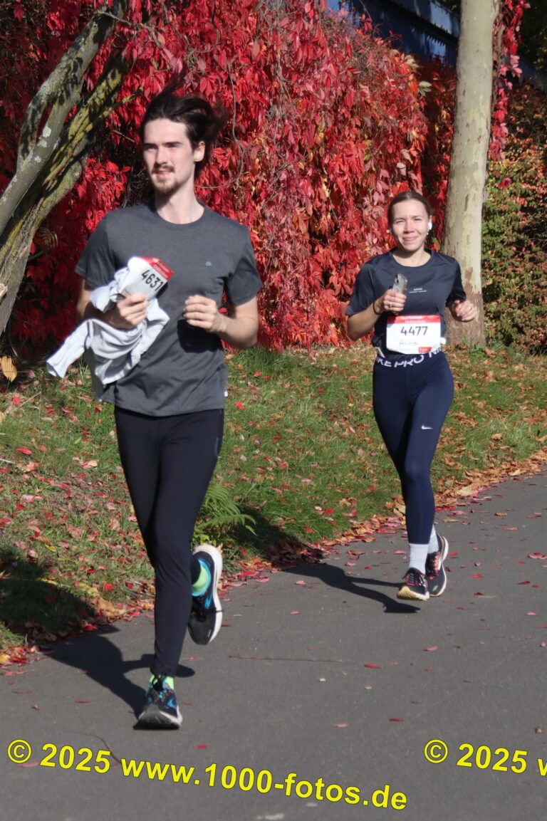 Fotos Hans-Martin Schweitzer (1.000 Fotos) 1715