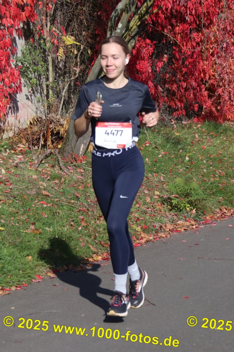 Fotos Hans-Martin Schweitzer (1.000 Fotos) 1713