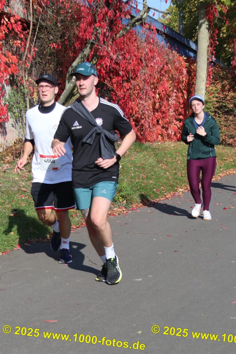 Fotos Hans-Martin Schweitzer (1.000 Fotos) 1712