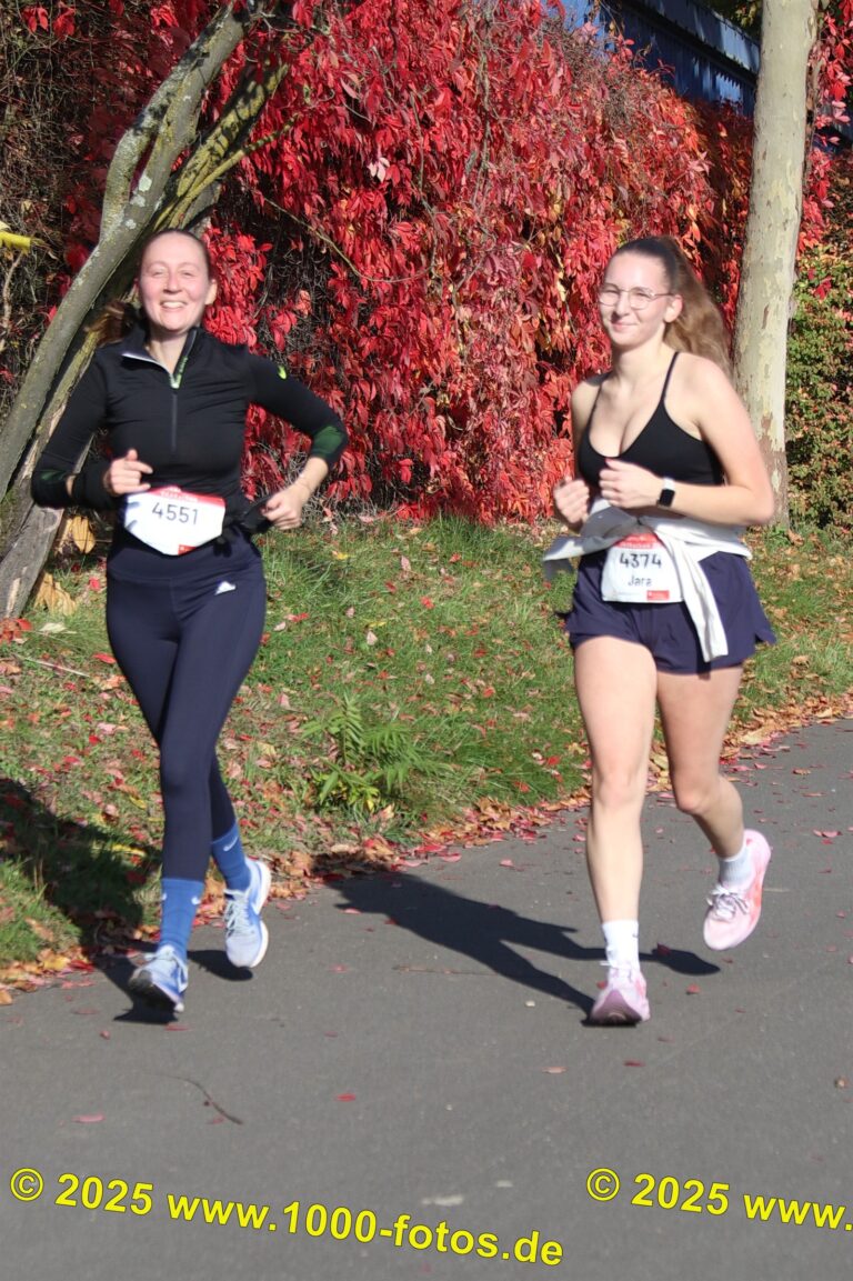 Fotos Hans-Martin Schweitzer (1.000 Fotos) 1710