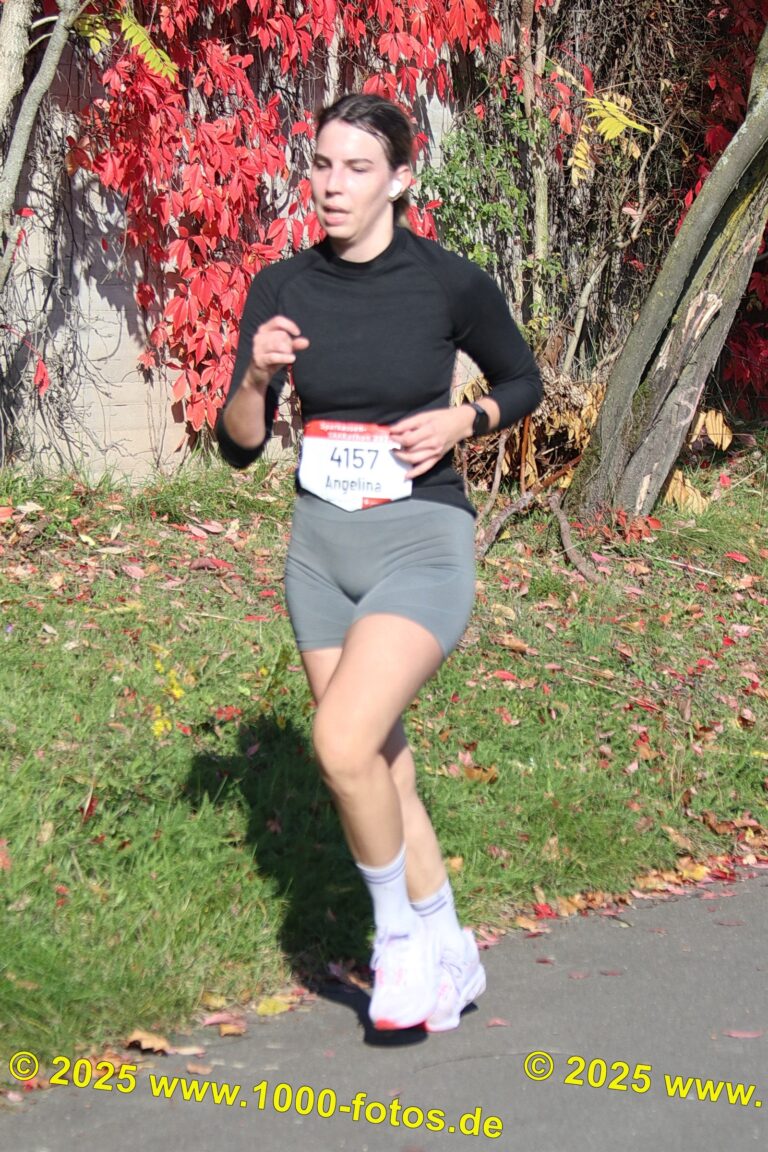 Fotos Hans-Martin Schweitzer (1.000 Fotos) 1706