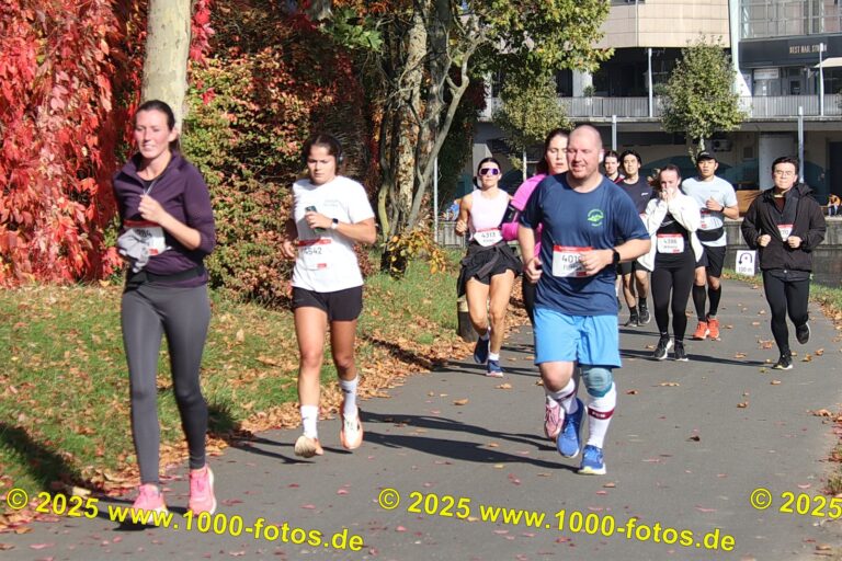 Fotos Hans-Martin Schweitzer (1.000 Fotos) 1702