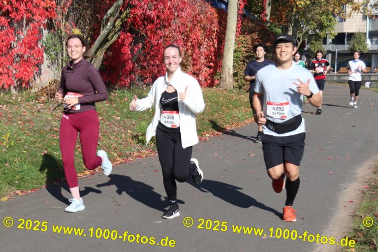 Fotos Hans-Martin Schweitzer (1.000 Fotos) 1699