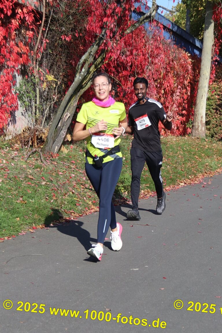 Fotos Hans-Martin Schweitzer (1.000 Fotos) 1680