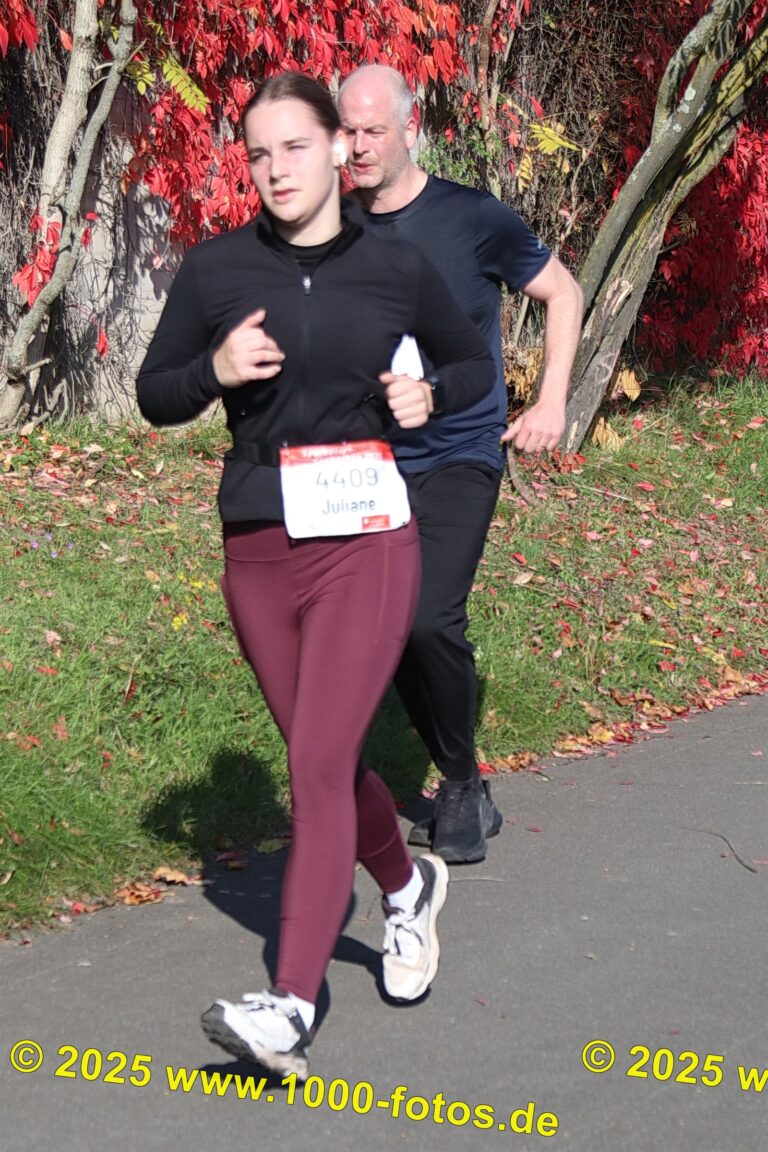 Fotos Hans-Martin Schweitzer (1.000 Fotos) 1674