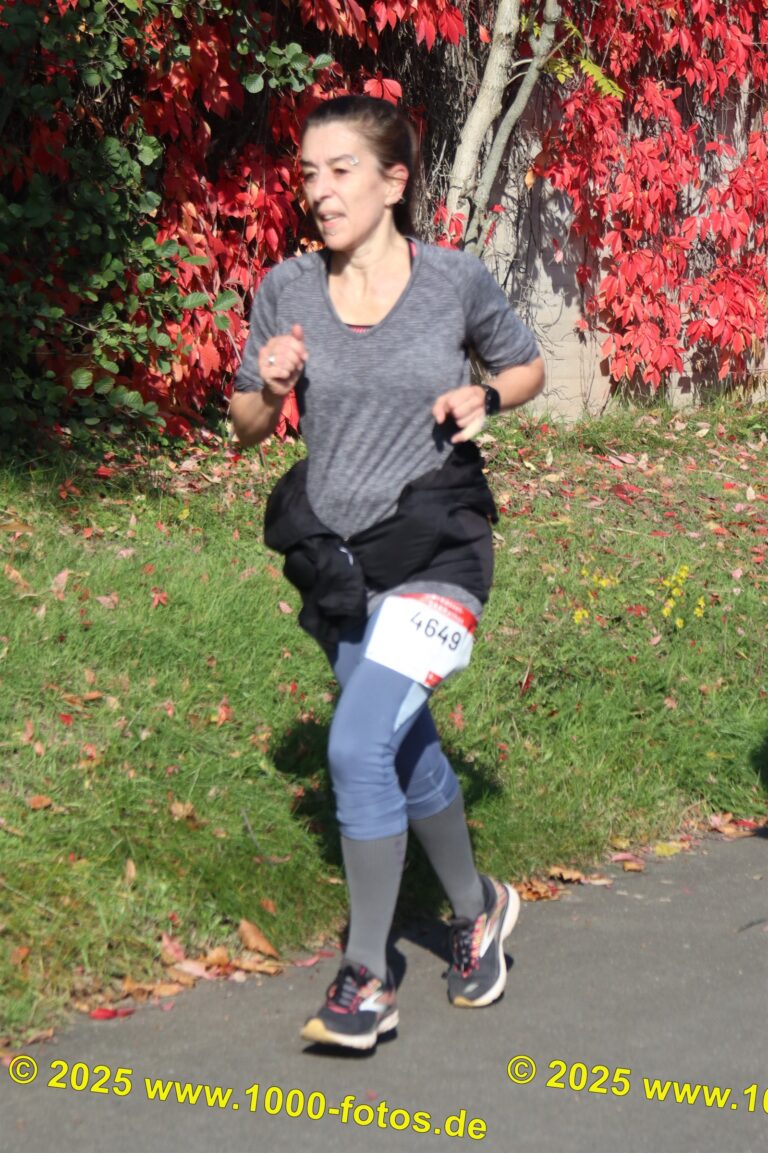 Fotos Hans-Martin Schweitzer (1.000 Fotos) 1666