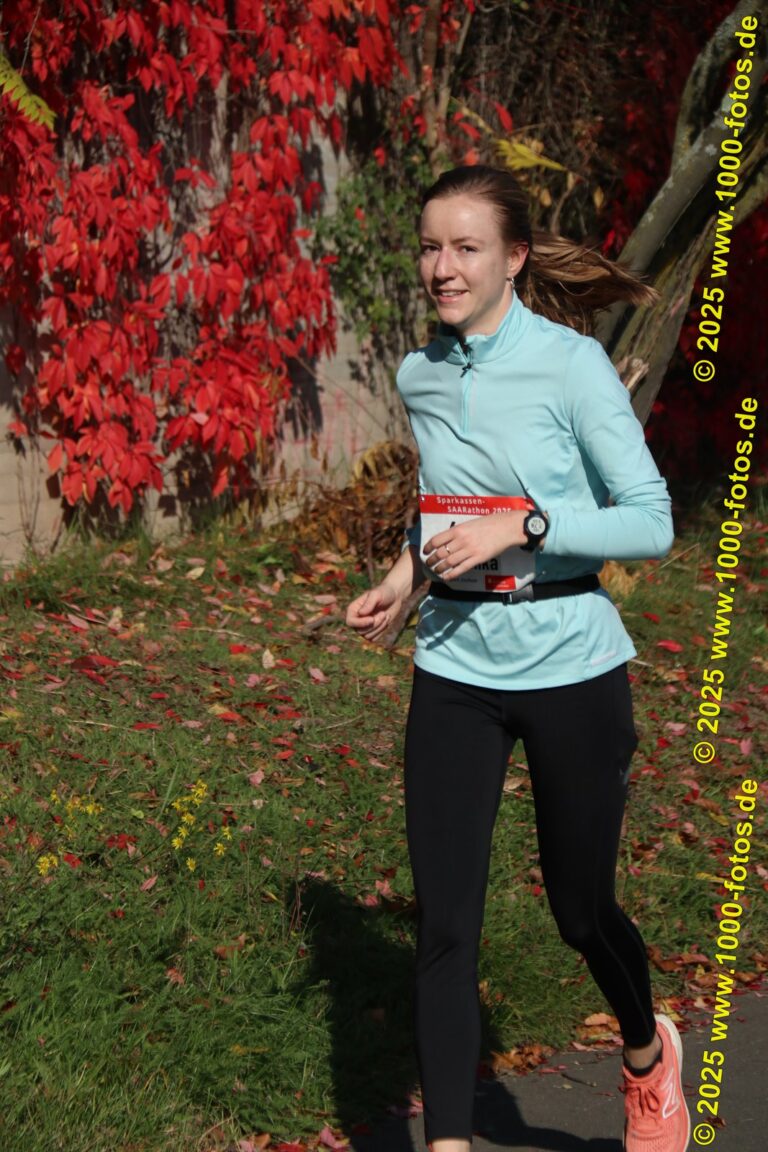 Fotos Hans-Martin Schweitzer (1.000 Fotos) 1664