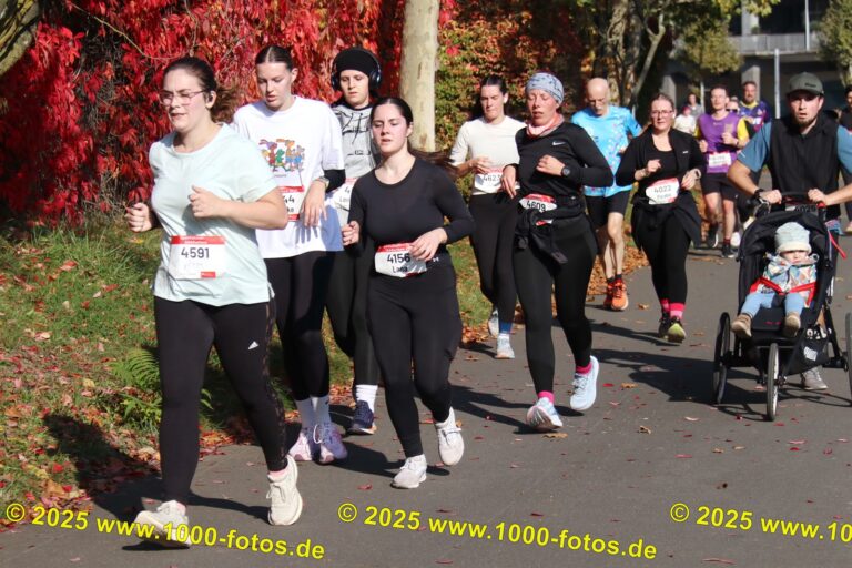 Fotos Hans-Martin Schweitzer (1.000 Fotos) 1663