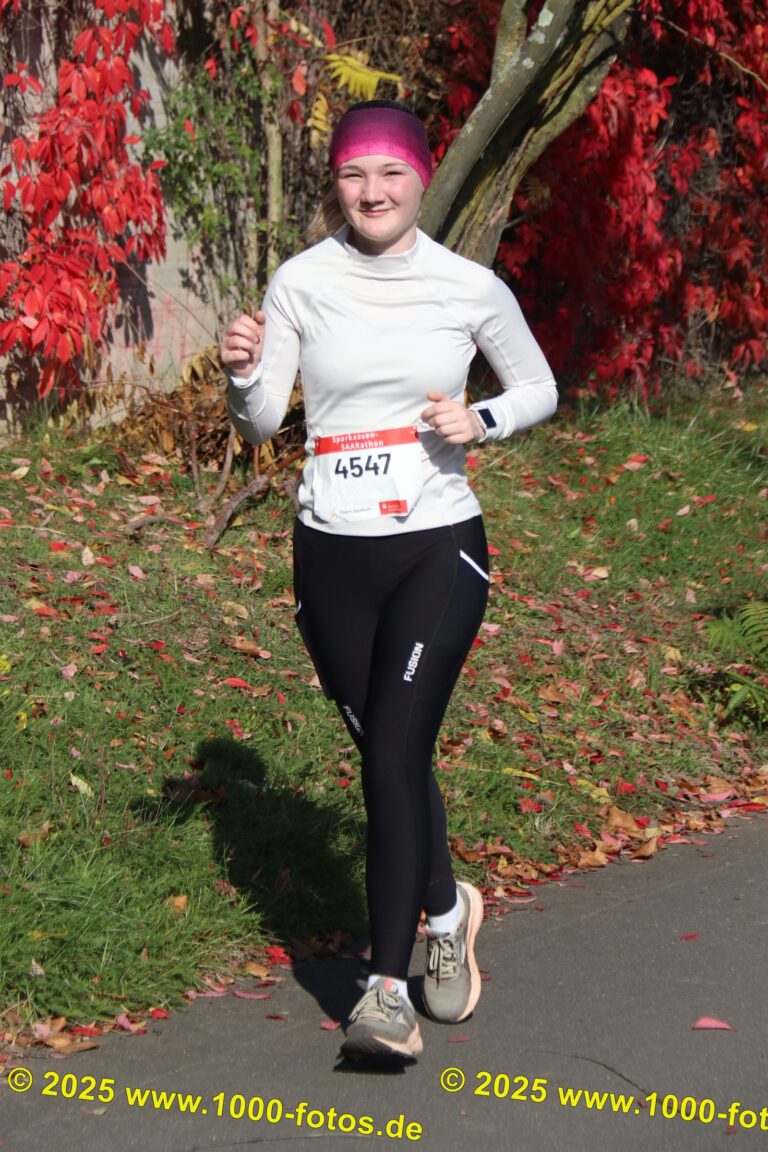 Fotos Hans-Martin Schweitzer (1.000 Fotos) 1658