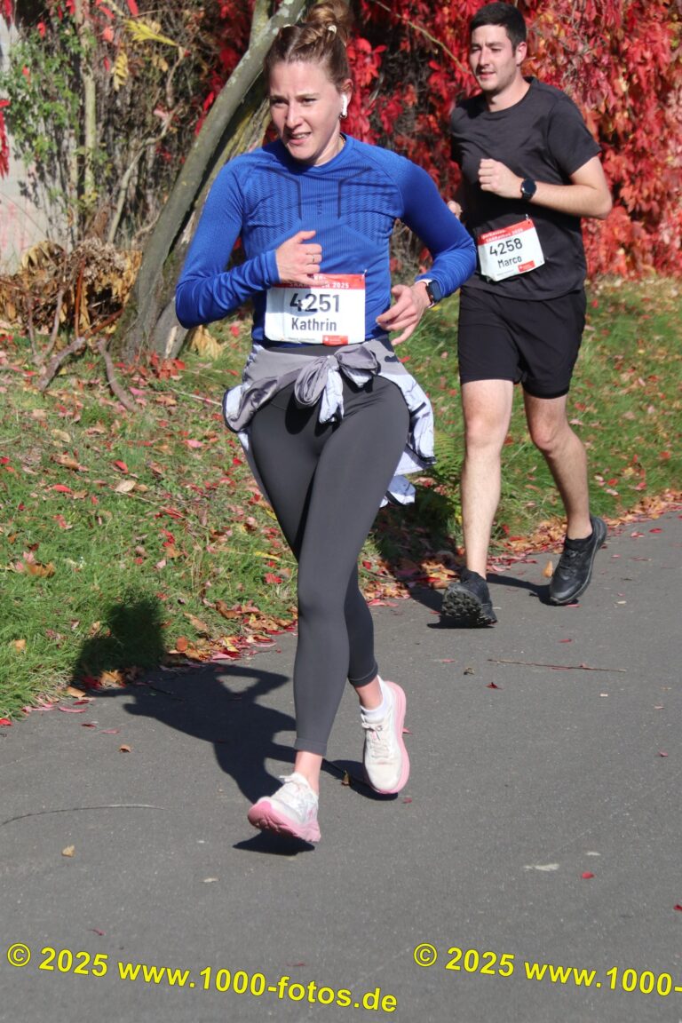 Fotos Hans-Martin Schweitzer (1.000 Fotos) 1656