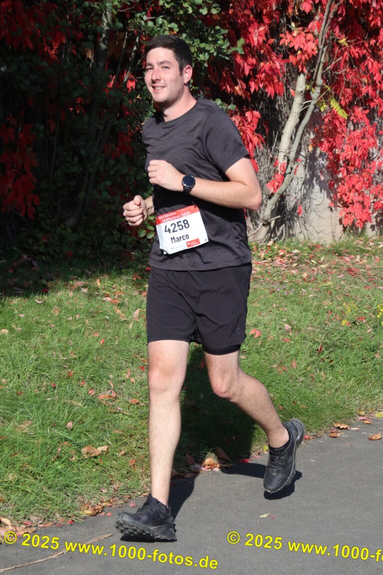 Fotos Hans-Martin Schweitzer (1.000 Fotos) 1654