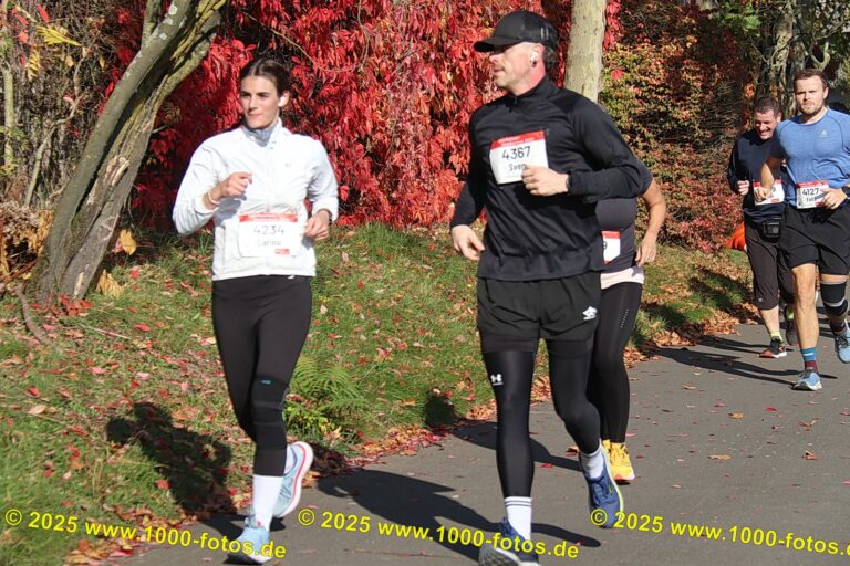 Fotos Hans-Martin Schweitzer (1.000 Fotos) 1648