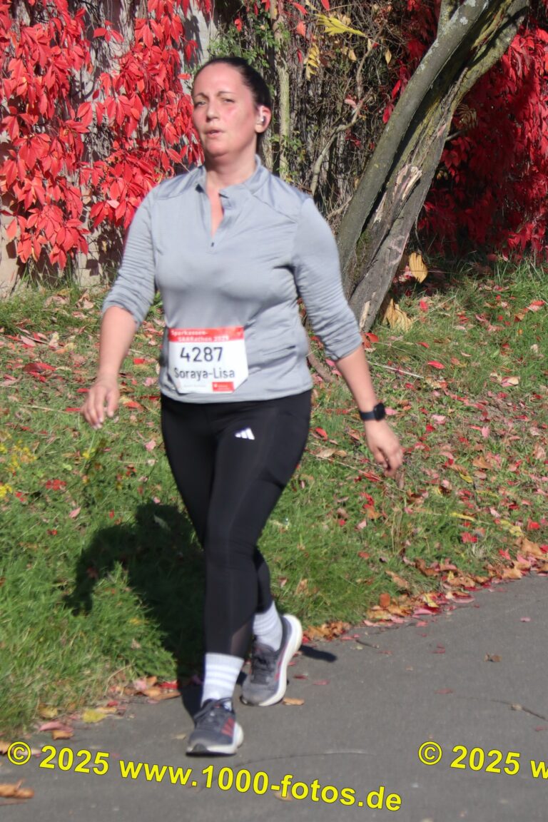 Fotos Hans-Martin Schweitzer (1.000 Fotos) 1644