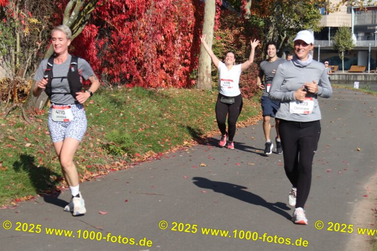 Fotos Hans-Martin Schweitzer (1.000 Fotos) 1639