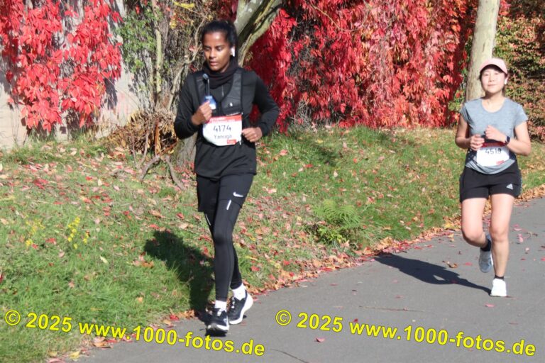 Fotos Hans-Martin Schweitzer (1.000 Fotos) 1637