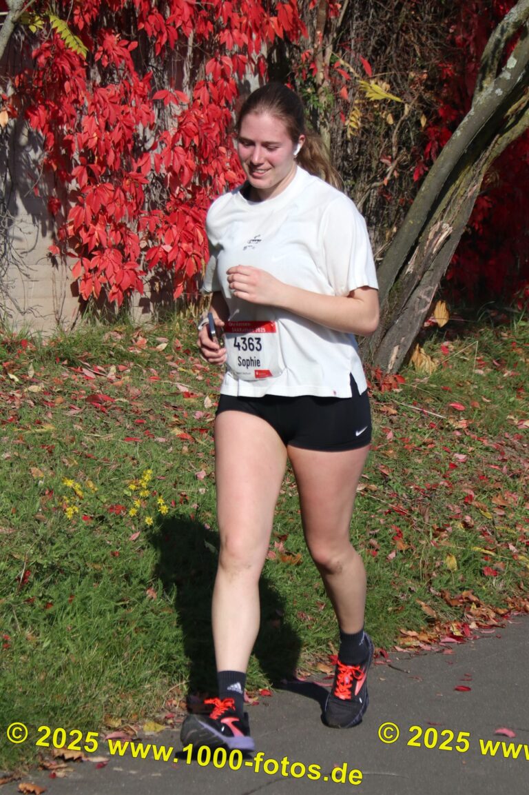 Fotos Hans-Martin Schweitzer (1.000 Fotos) 1634