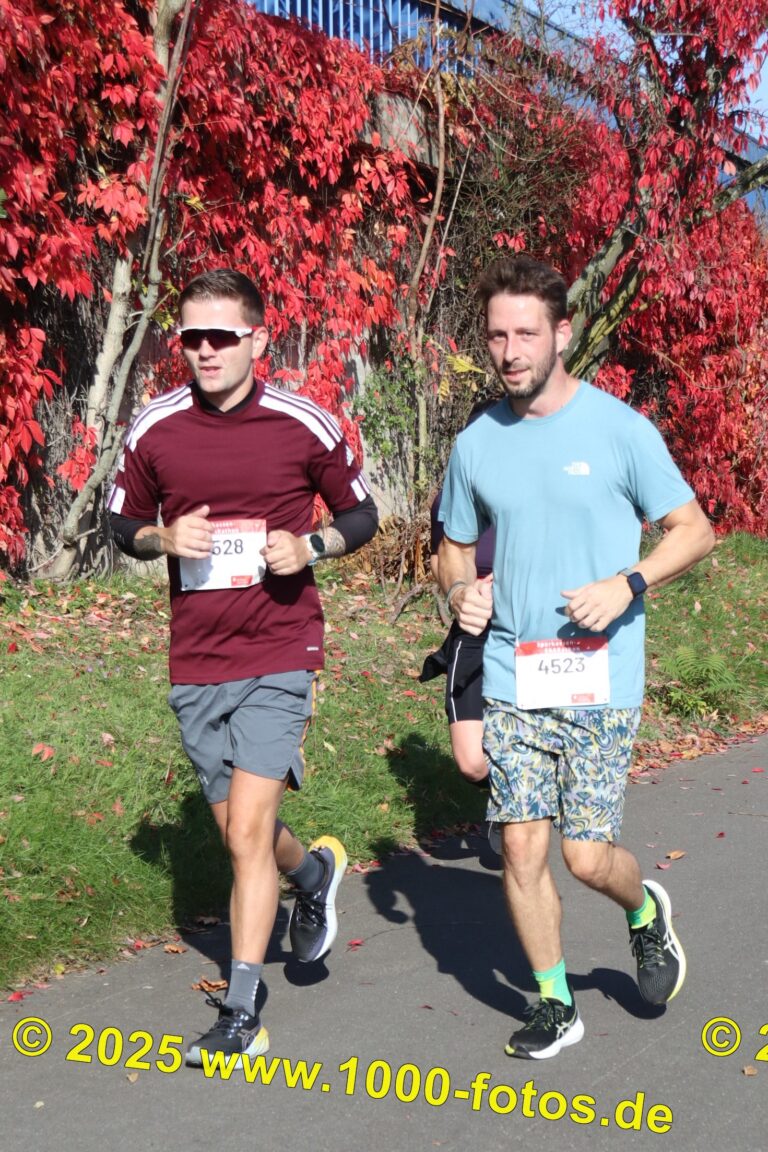 Fotos Hans-Martin Schweitzer (1.000 Fotos) 1630