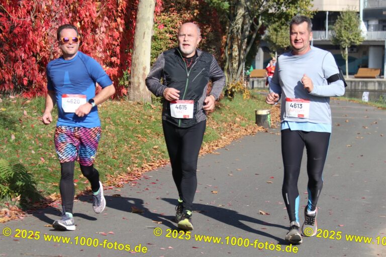 Fotos Hans-Martin Schweitzer (1.000 Fotos) 1626