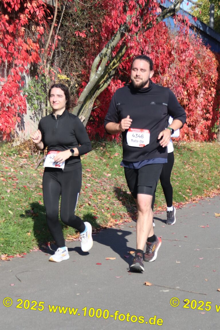 Fotos Hans-Martin Schweitzer (1.000 Fotos) 1616