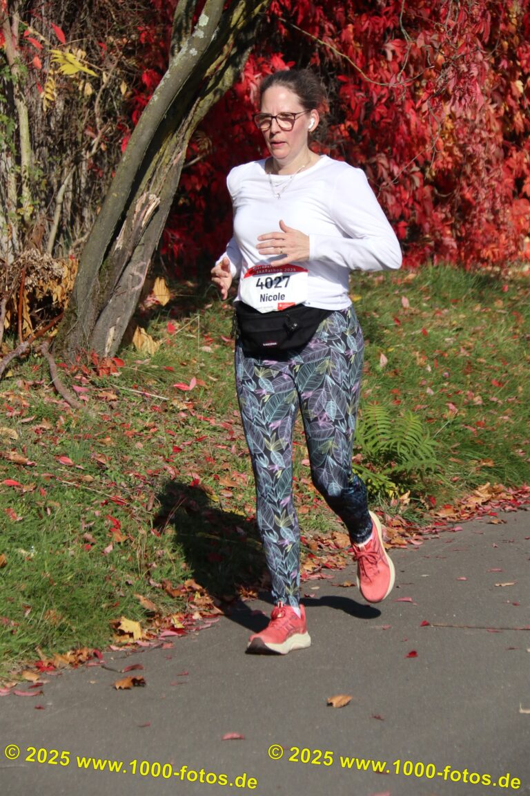 Fotos Hans-Martin Schweitzer (1.000 Fotos) 1611