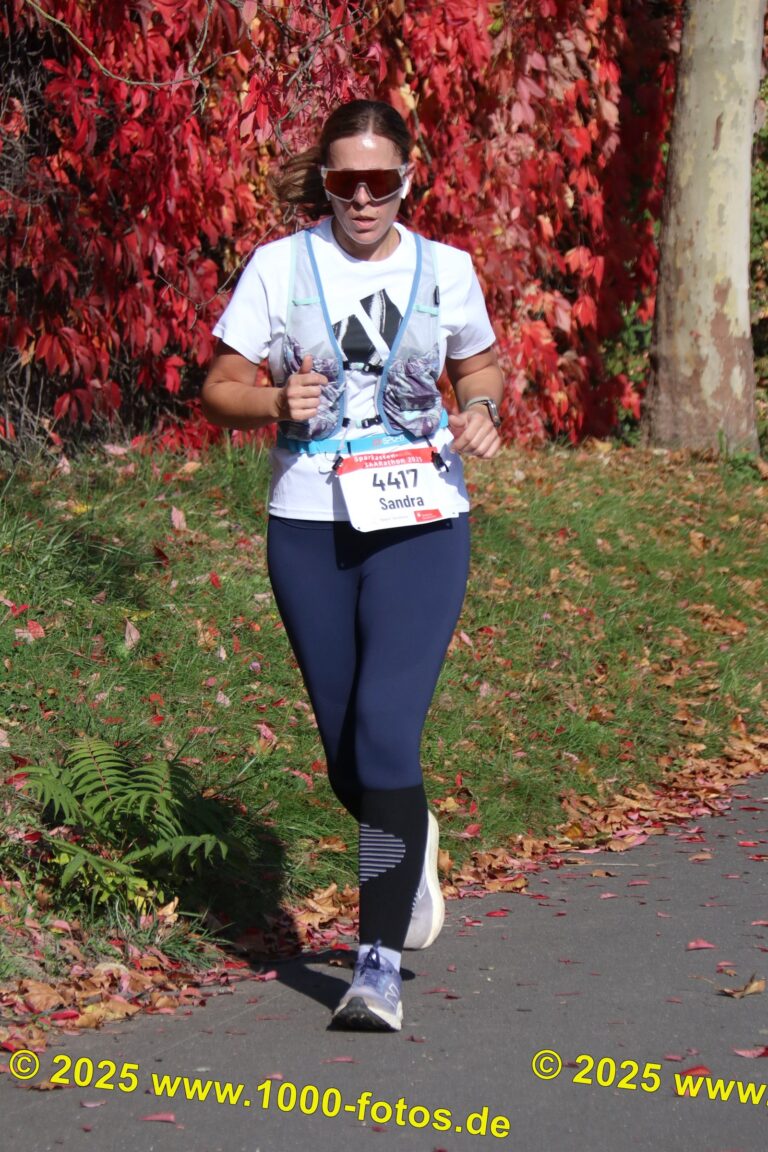 Fotos Hans-Martin Schweitzer (1.000 Fotos) 1610