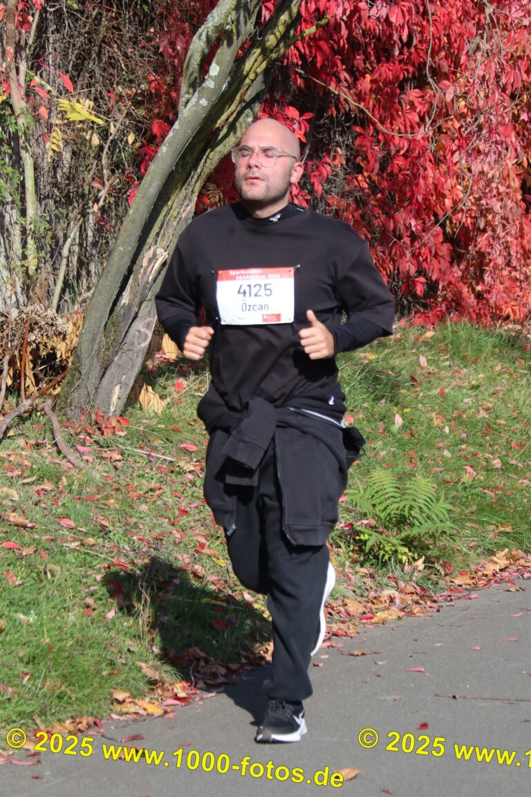 Fotos Hans-Martin Schweitzer (1.000 Fotos) 1608