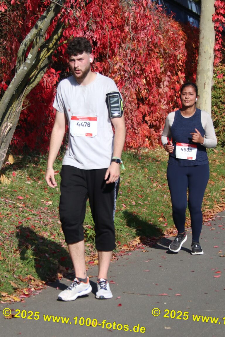 Fotos Hans-Martin Schweitzer (1.000 Fotos) 1606