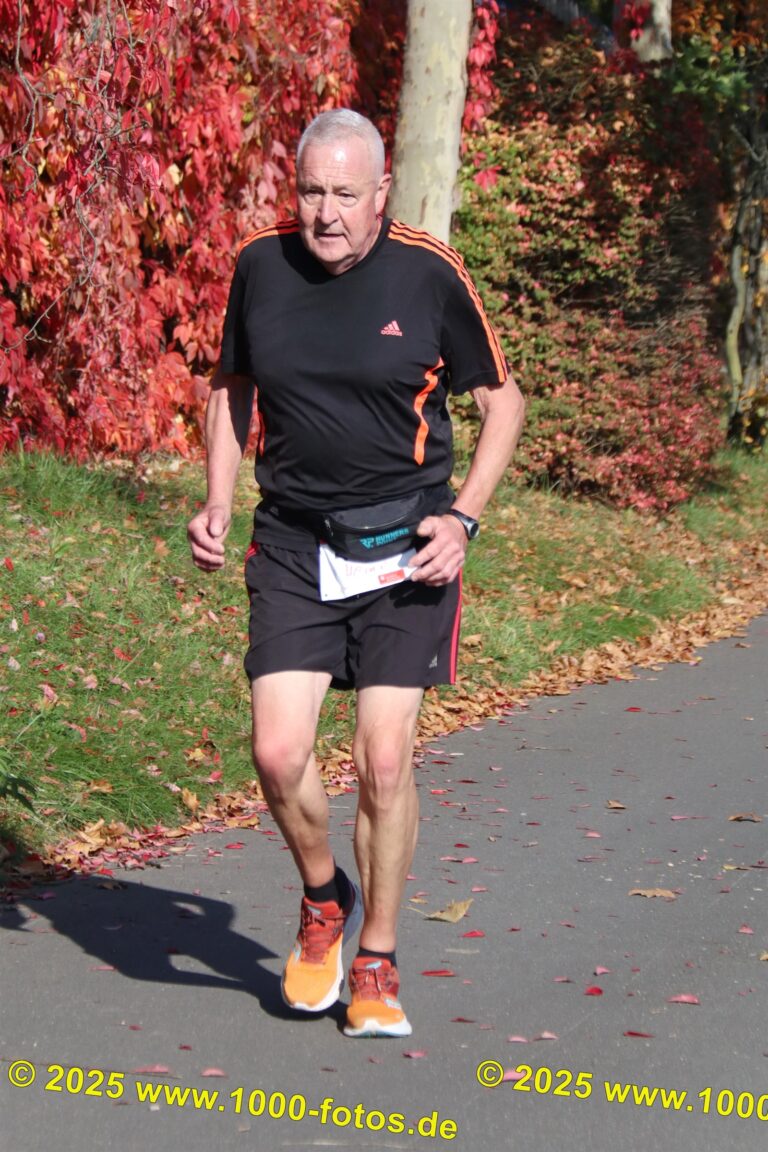 Fotos Hans-Martin Schweitzer (1.000 Fotos) 1603