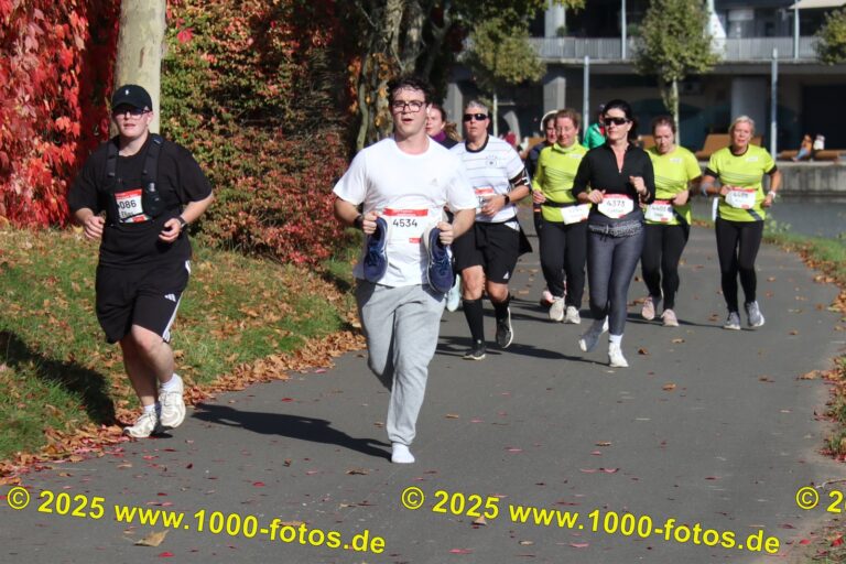 Fotos Hans-Martin Schweitzer (1.000 Fotos) 1602