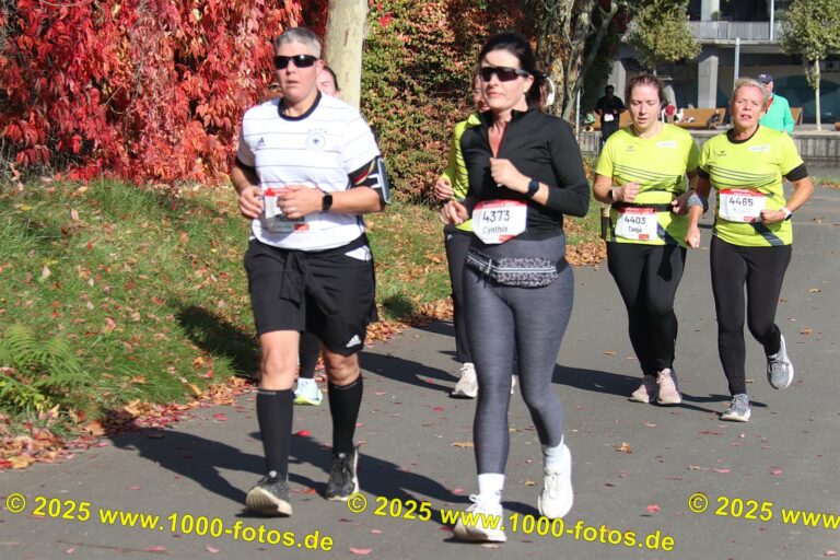 Fotos Hans-Martin Schweitzer (1.000 Fotos) 1600