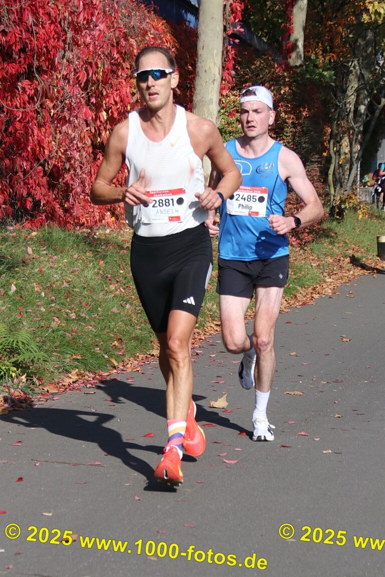 Fotos Hans-Martin Schweitzer (1.000 Fotos) 1597