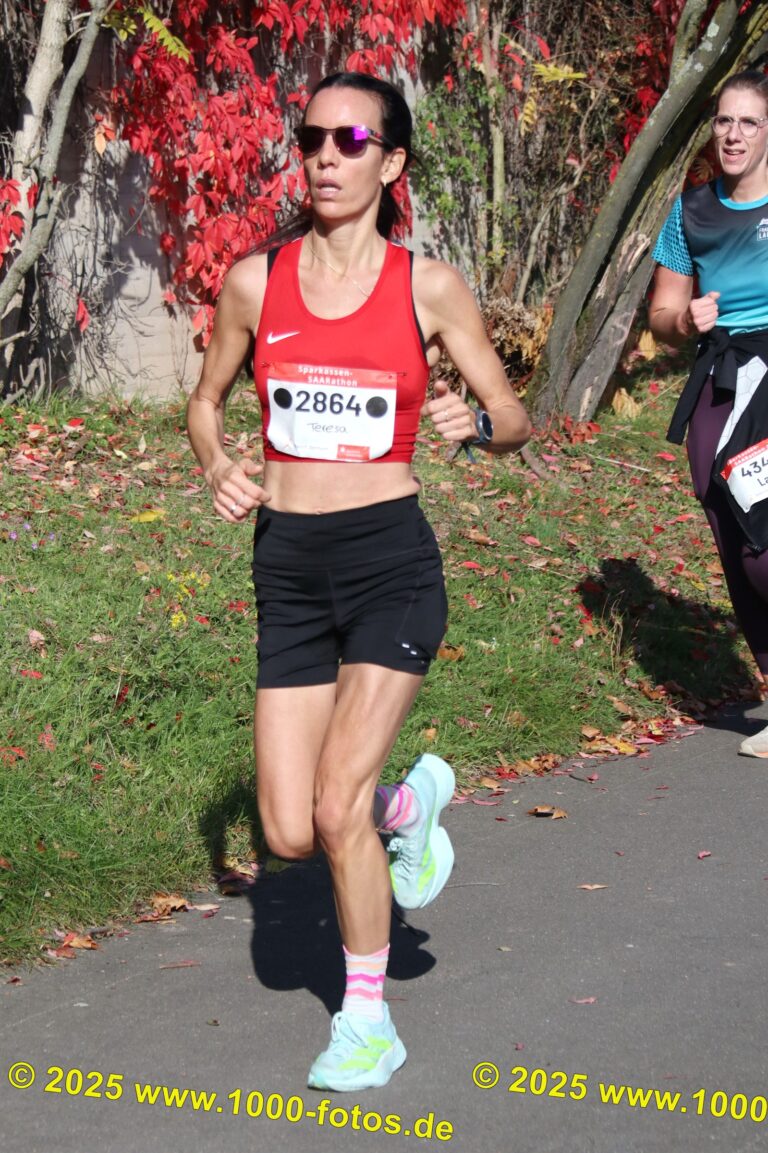 Fotos Hans-Martin Schweitzer (1.000 Fotos) 1591