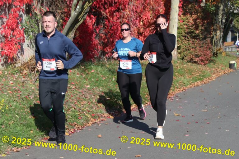 Fotos Hans-Martin Schweitzer (1.000 Fotos) 1583