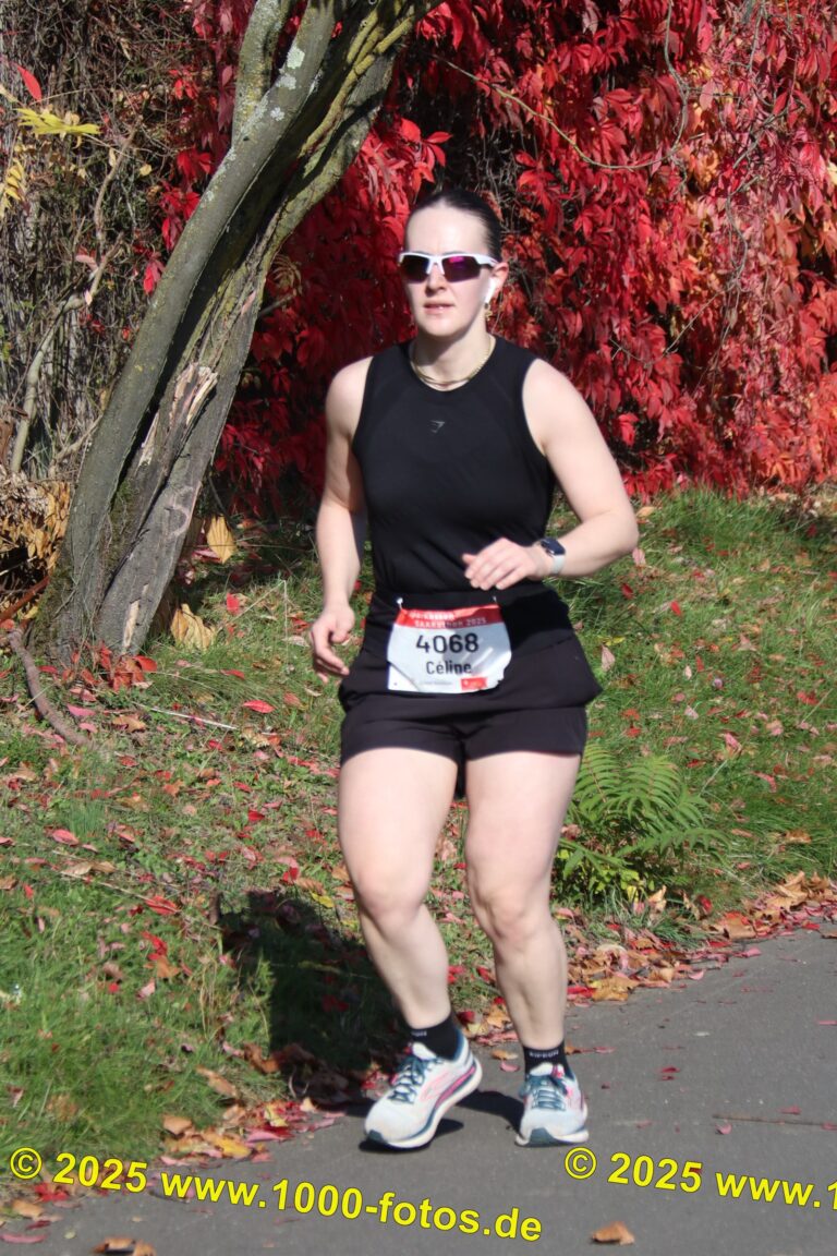 Fotos Hans-Martin Schweitzer (1.000 Fotos) 1581