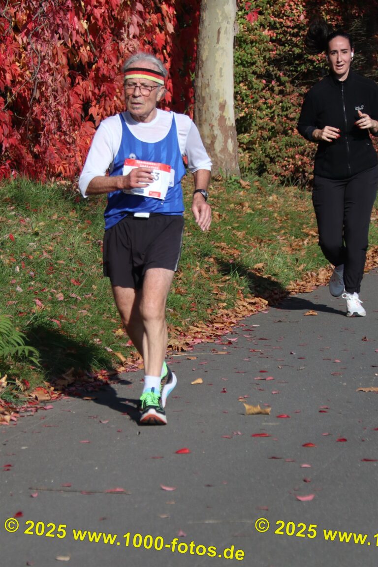 Fotos Hans-Martin Schweitzer (1.000 Fotos) 1580