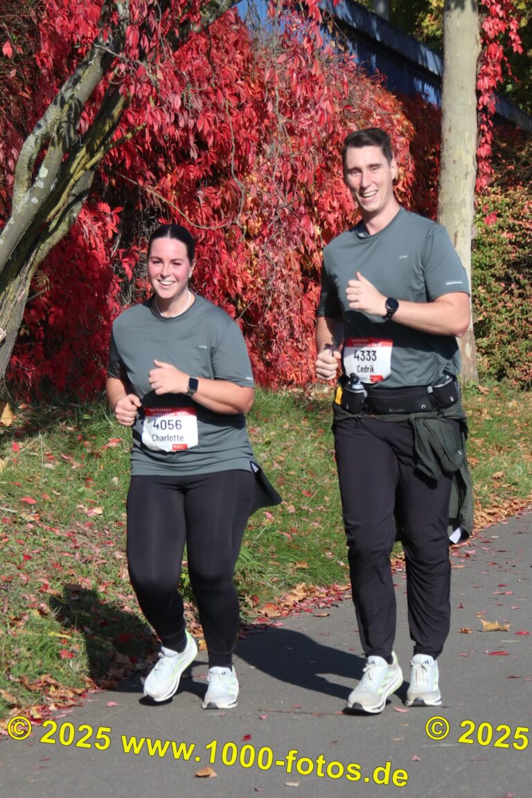 Fotos Hans-Martin Schweitzer (1.000 Fotos) 1578